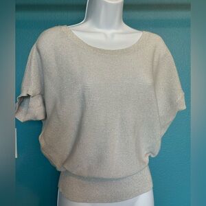 Express Shiny silver sweater blouse